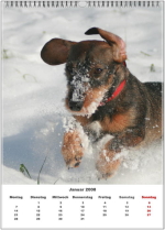 Kalender: 2008 Januar
