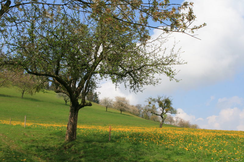 Mit Klick schlie&szlig;en