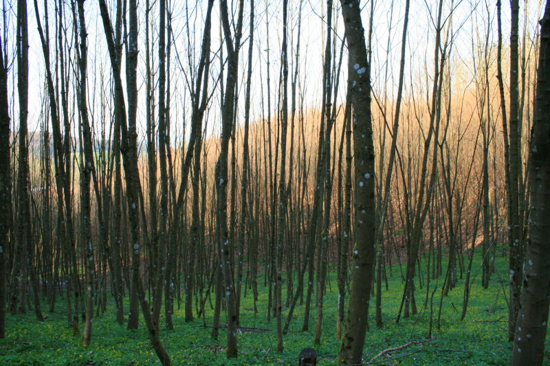 Mit Klick schlie&szlig;en