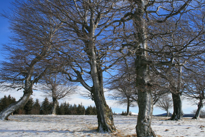 Mit Klick schlie&szlig;en