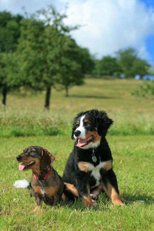 Mit Klick schlie&szlig;en